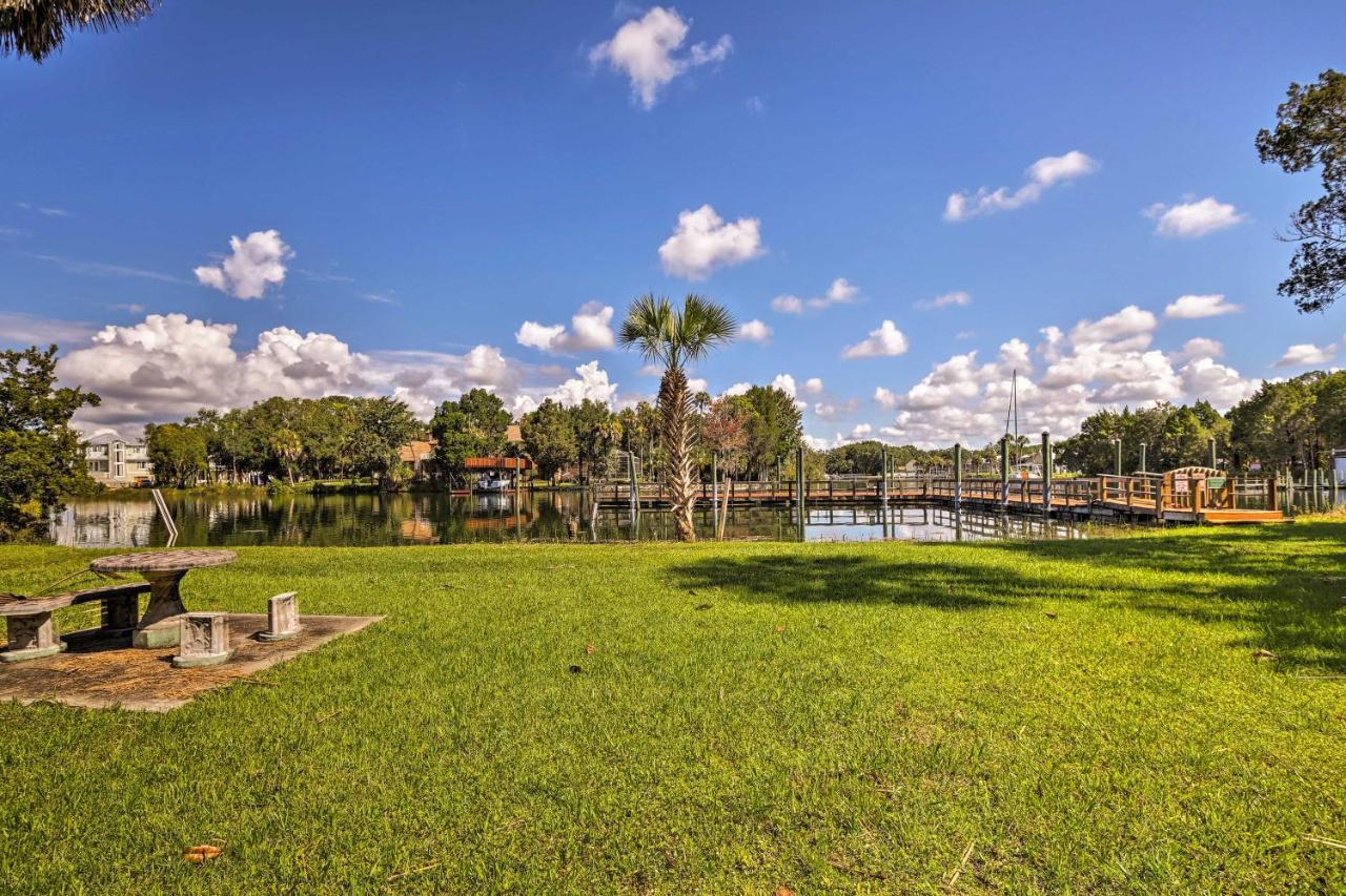 Crystal River House Scalloping And Dock, Gulf 7 Mi! Luaran gambar